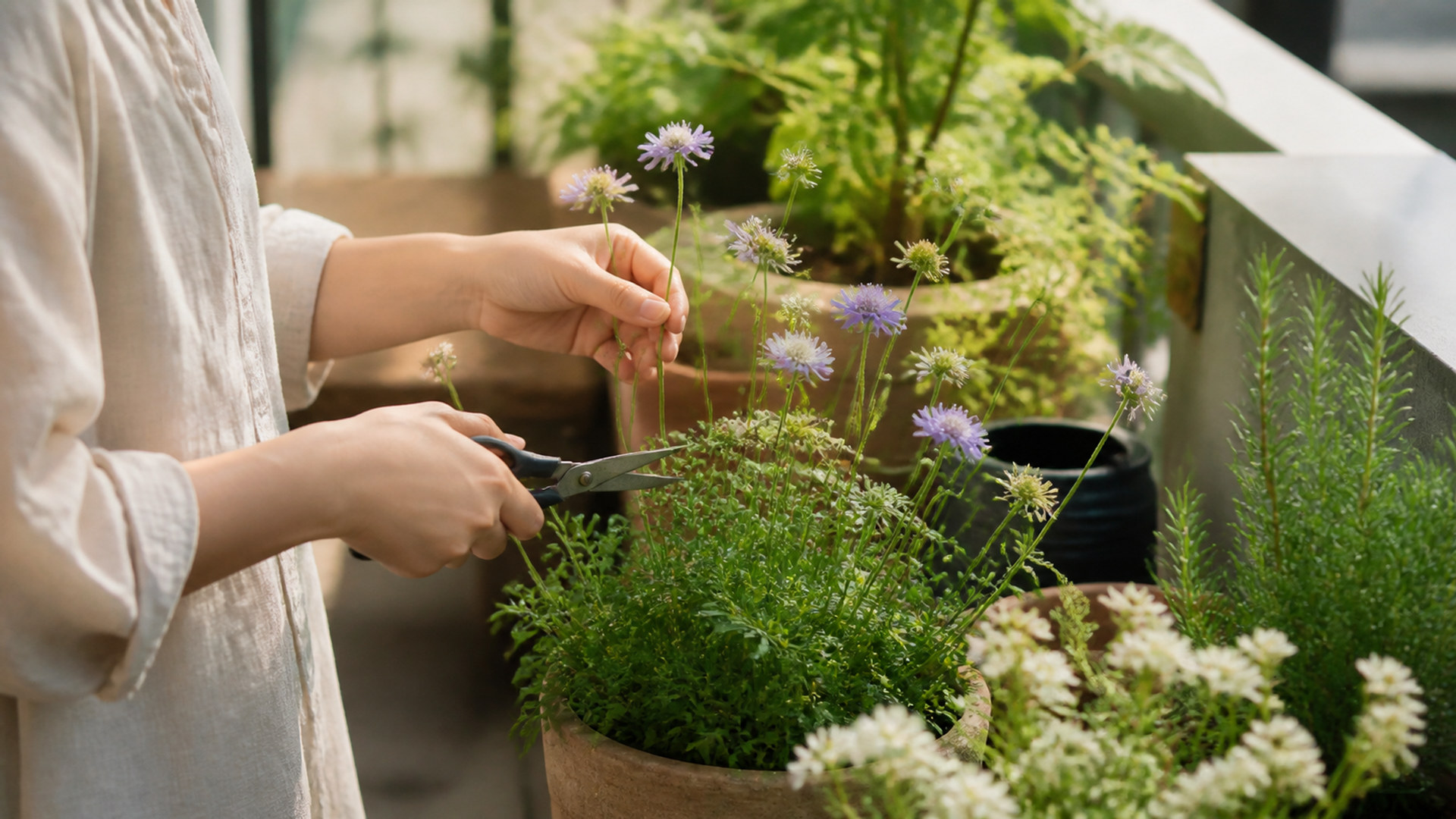 家庭の庭仕事 home-garden-06